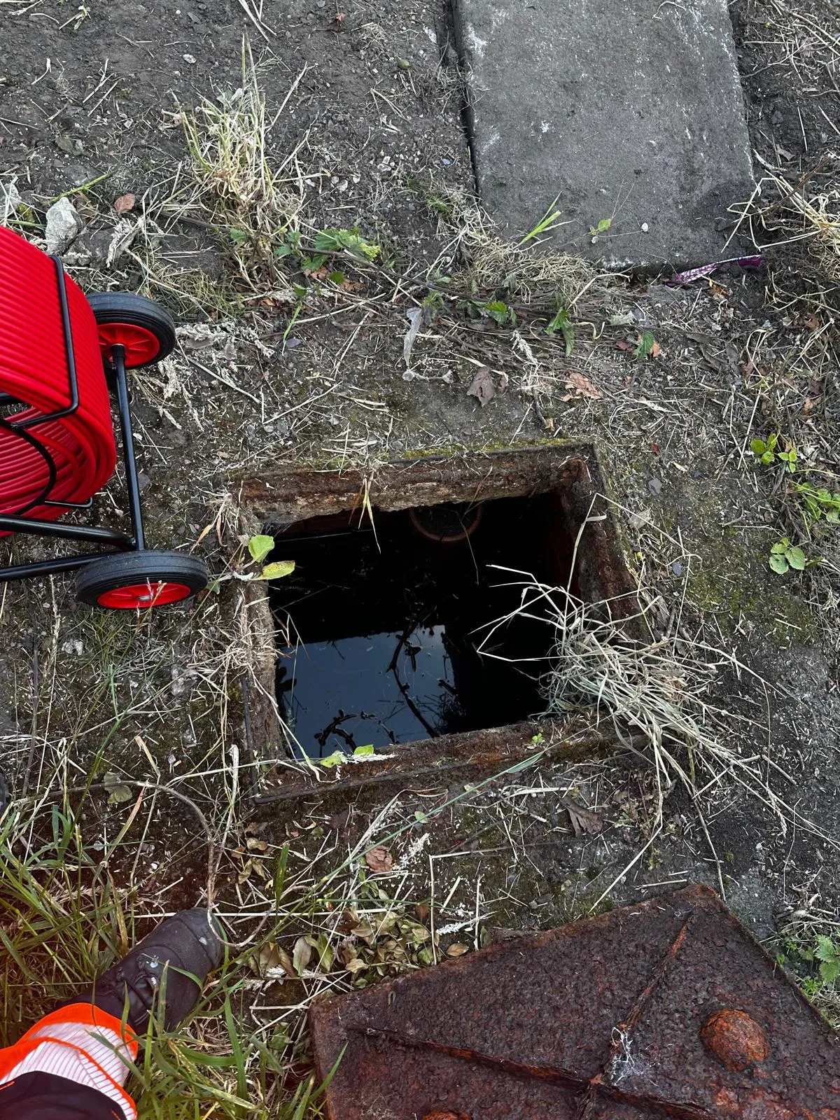 A blocked outdoor drain with standing water, ready for a professional CCTV survey.