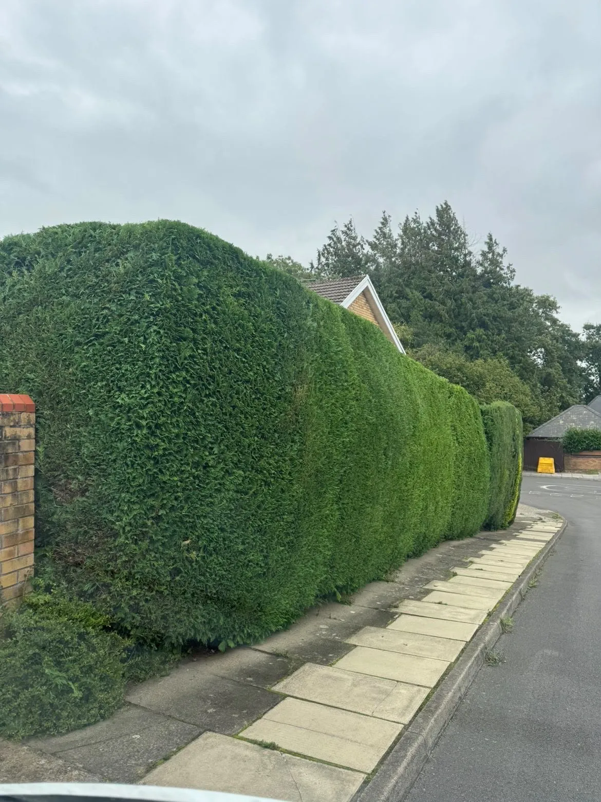 Neatly trimmed tall conifer hedge alongside a residential street completed by JDP Outdoor Solutions