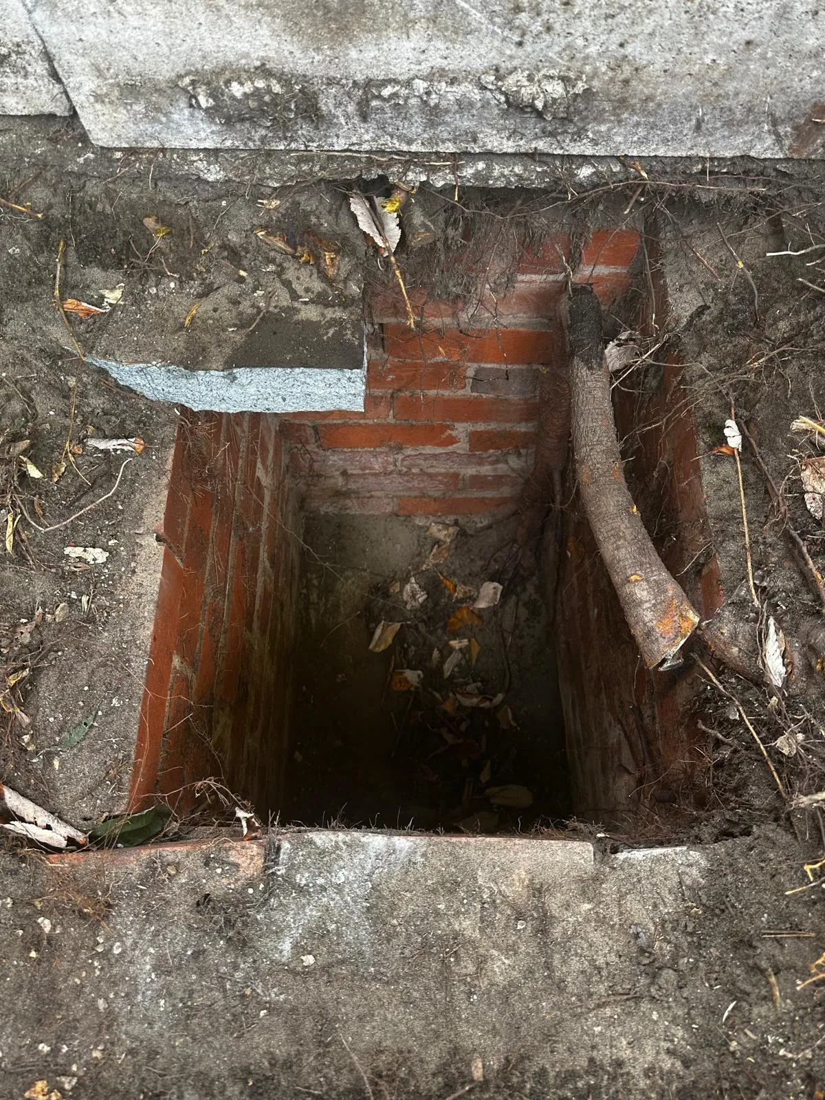 Drain Pest Control by Skipton Drain Unblocking