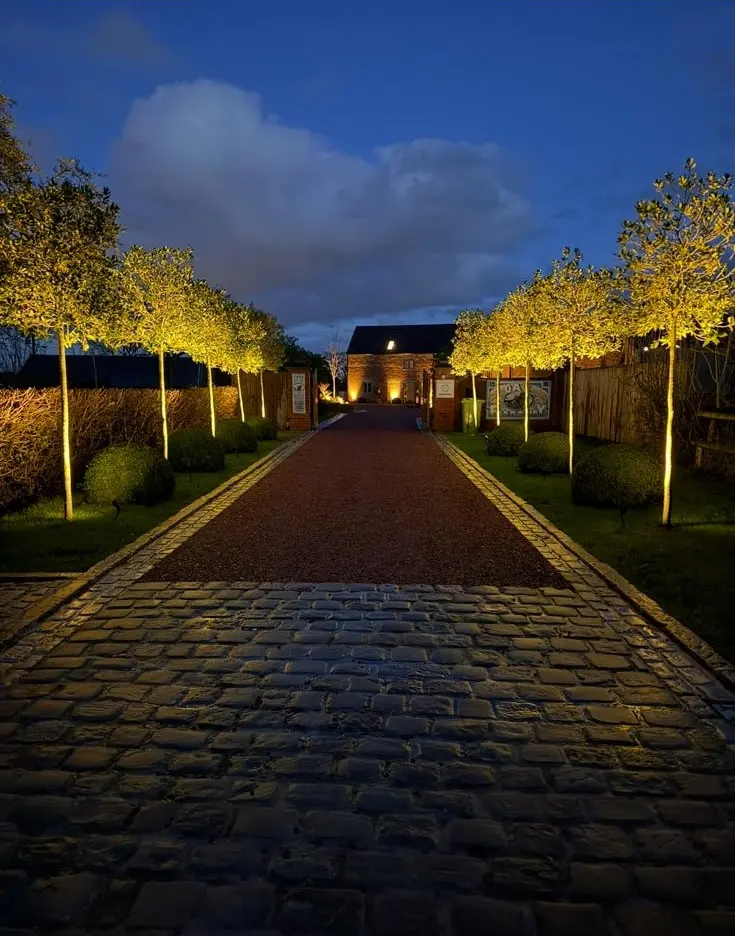 Professional driveway lighting and external tree up-lighting installed by JH Electrical Contractors Ltd in Warrington