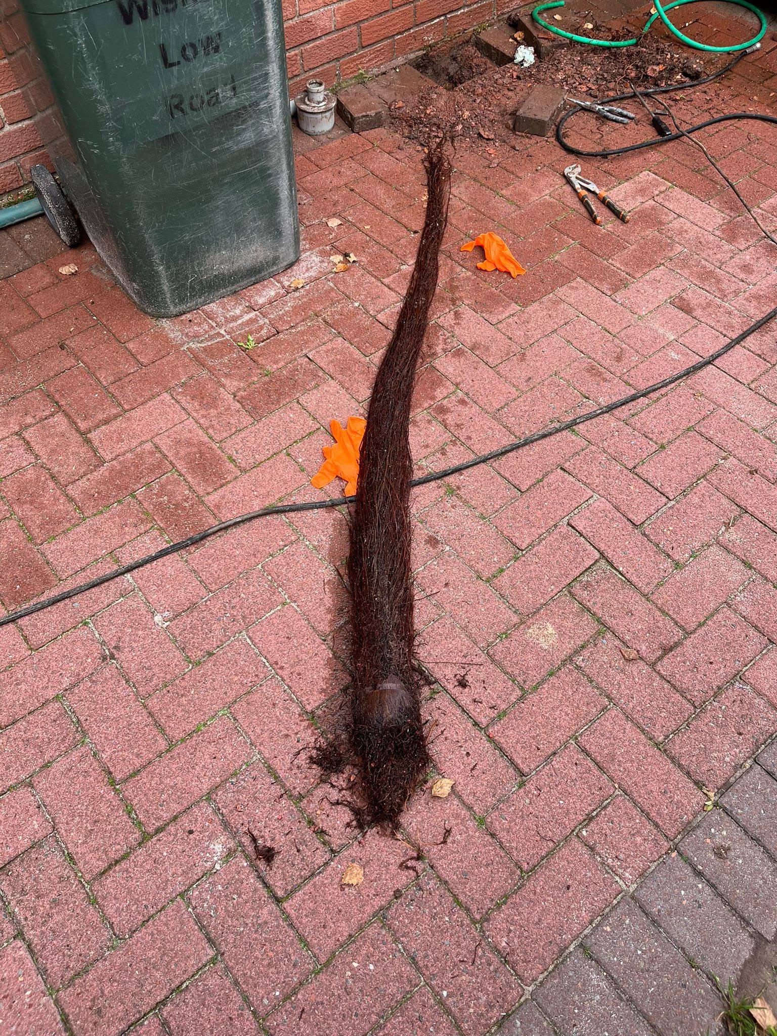 A large drain root mass successfully removed from a residential pipe by CB Drainage, highlighting expert root cutting and drain clearance services in Clackmannanshire.