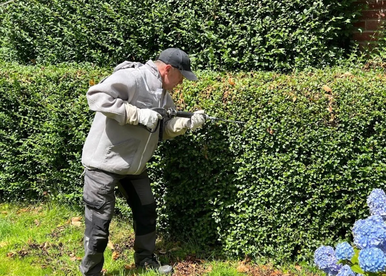 Professional pest control technician from Pest Control Harrogate treating a wasp nest in a hedge