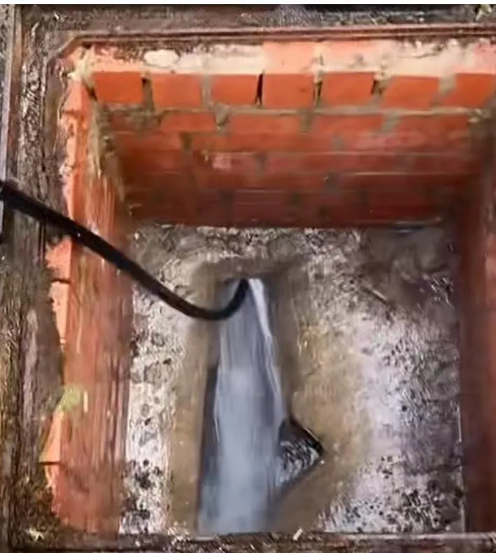 WhatsApp Image 2025-11-03 at 14.42.12.jpeg.webp