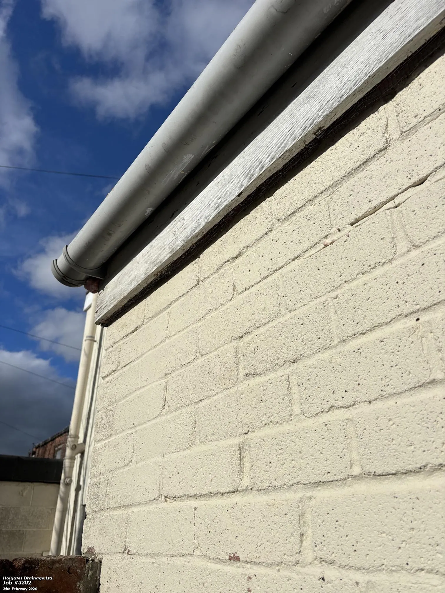 Commercial Bird Control by Pest Medic