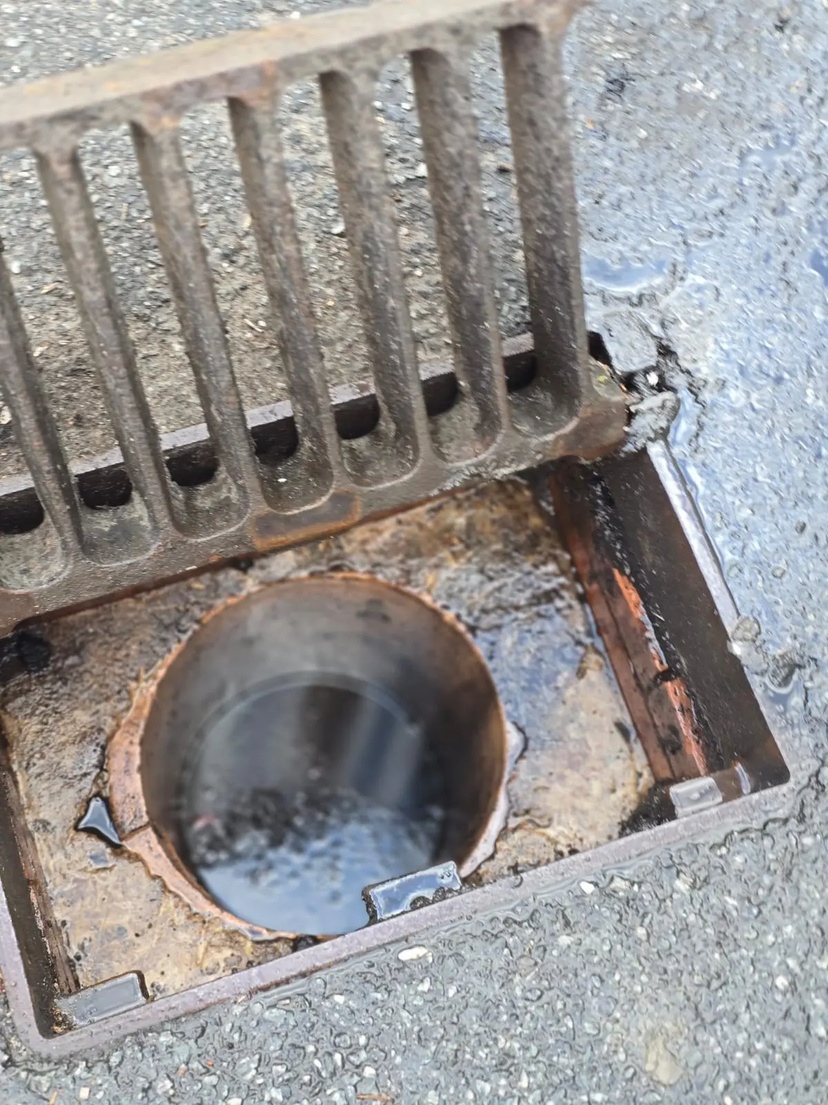 A close-up view of an open cast-iron street drain cover revealing stagnant water pooling inside the drain shaft.