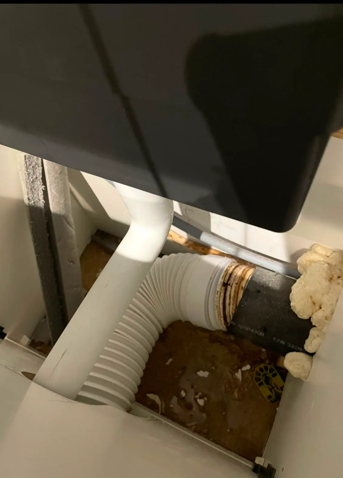 Leaking waste pipe connection with pooled dirty water