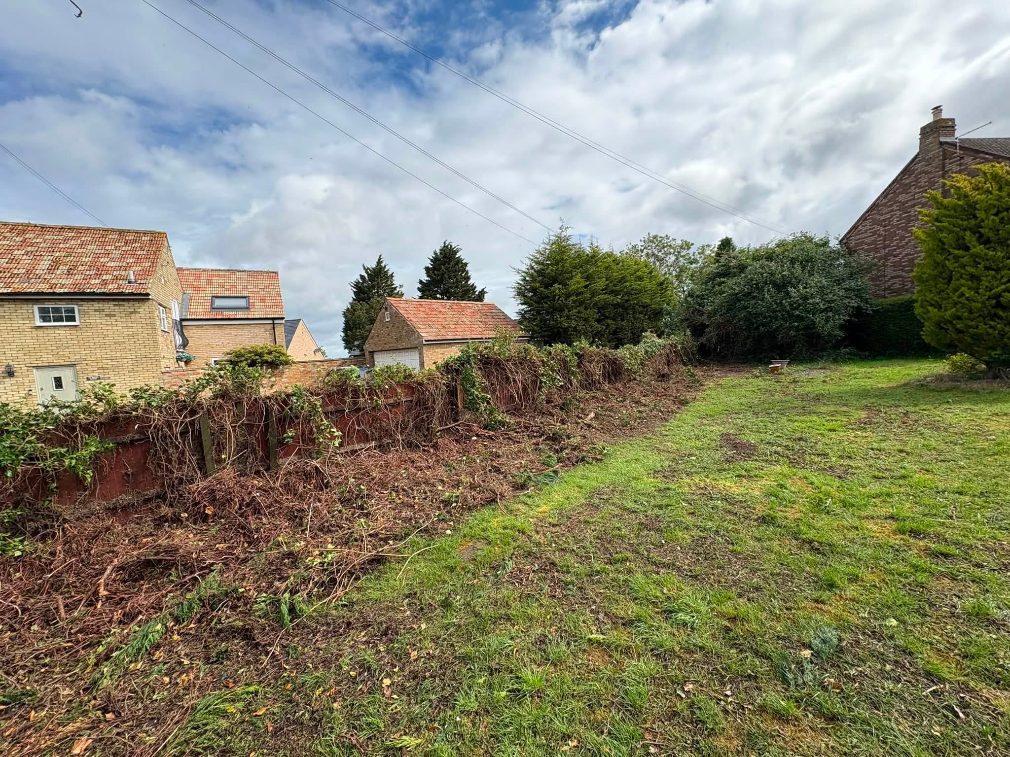 Professional garden clearance in progress, showing cut brambles and overgrown vegetation cleared from a residential boundary fence in Cambridgeshire.