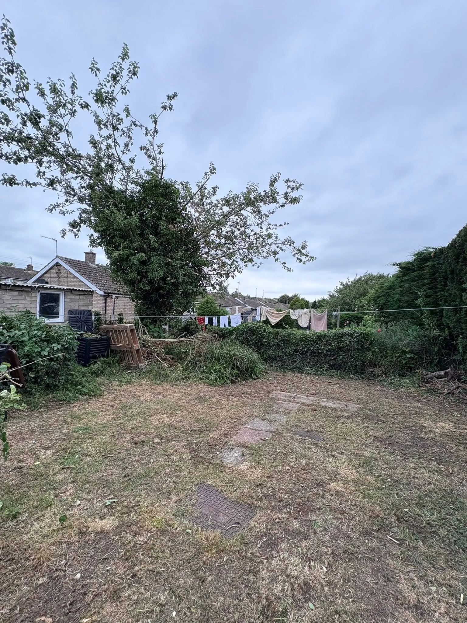 A residential garden with patchy dry grass, a mature tree, a washing line, and piles of garden waste in the midground