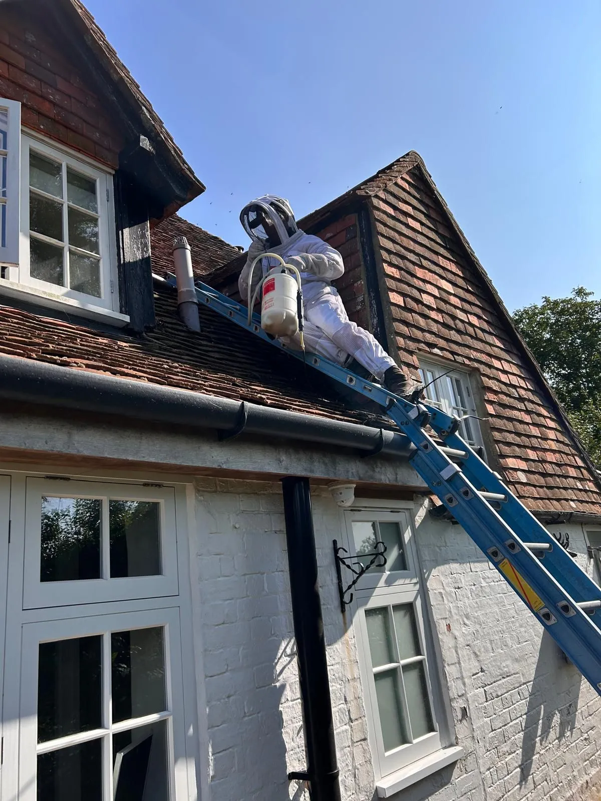 A pest control technician in protective gear on a ladder, treating a wasp nest on a house roof.