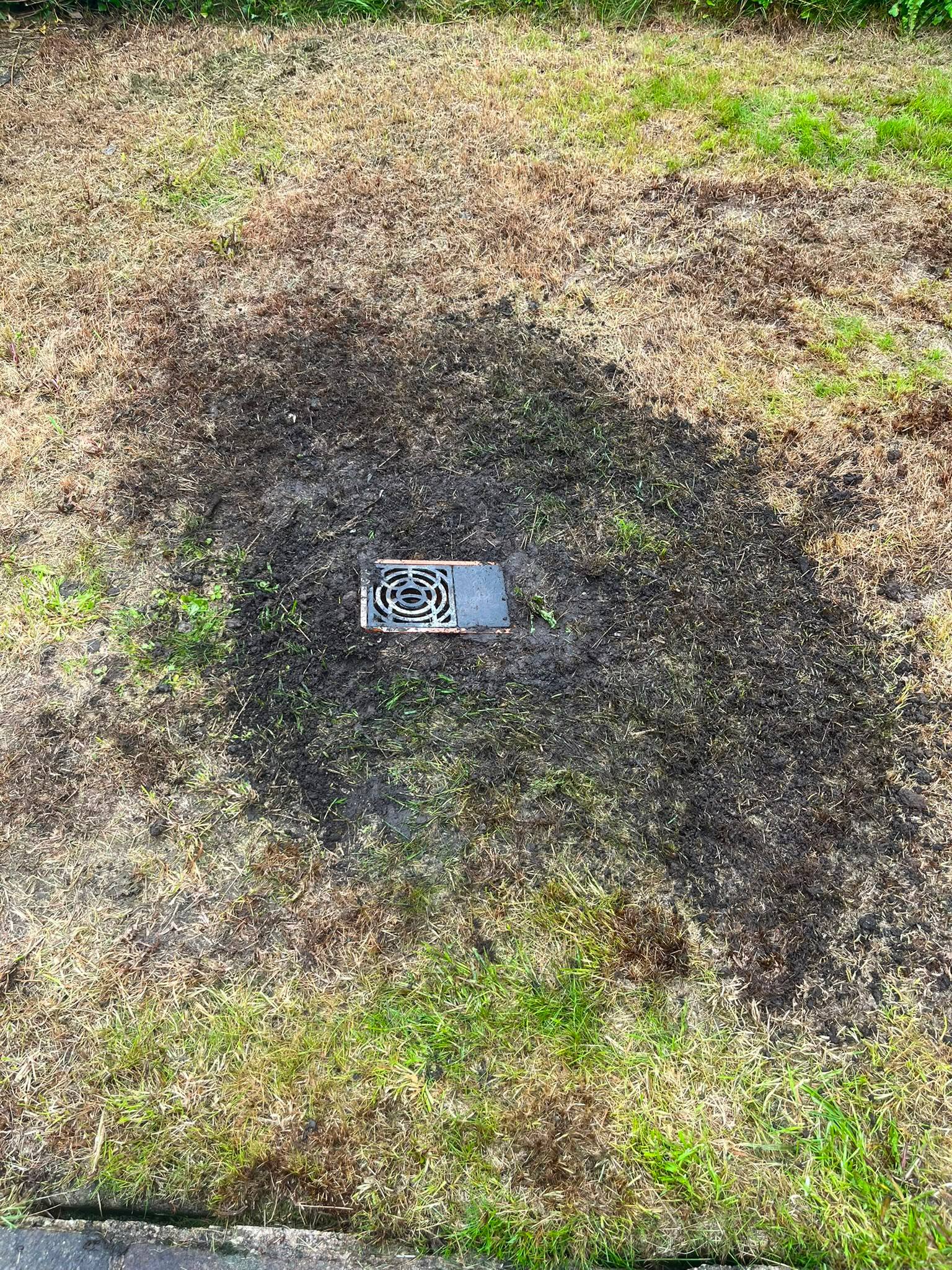 Waterlogged grass surrounding a blocked garden drain cover