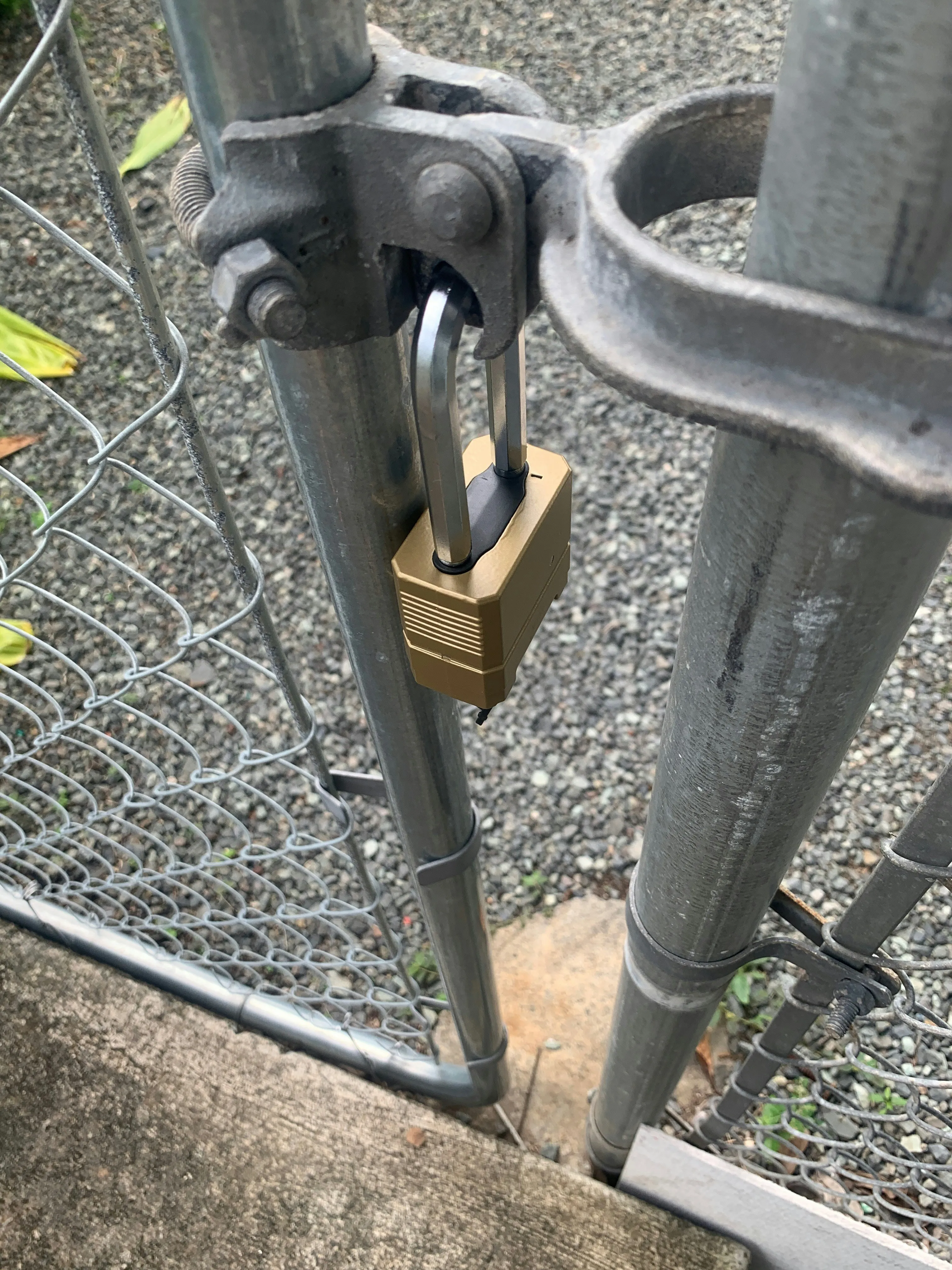 A close-up of a gold padlock on a chain-link fence gate.
