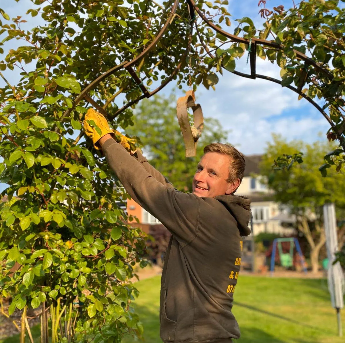 A THC Home and Garden Solutions team member smiles while working on a garden archway, tending to a climbing plant.