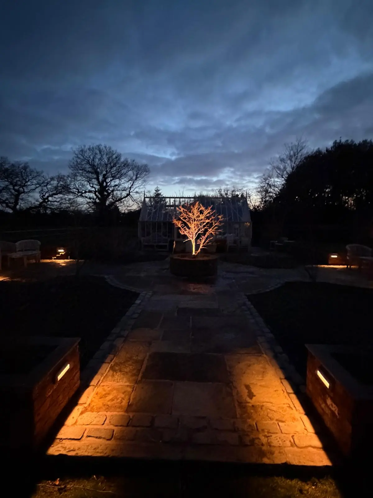 Professional external garden lighting installation highlighting a feature tree and stone pathway at dusk.