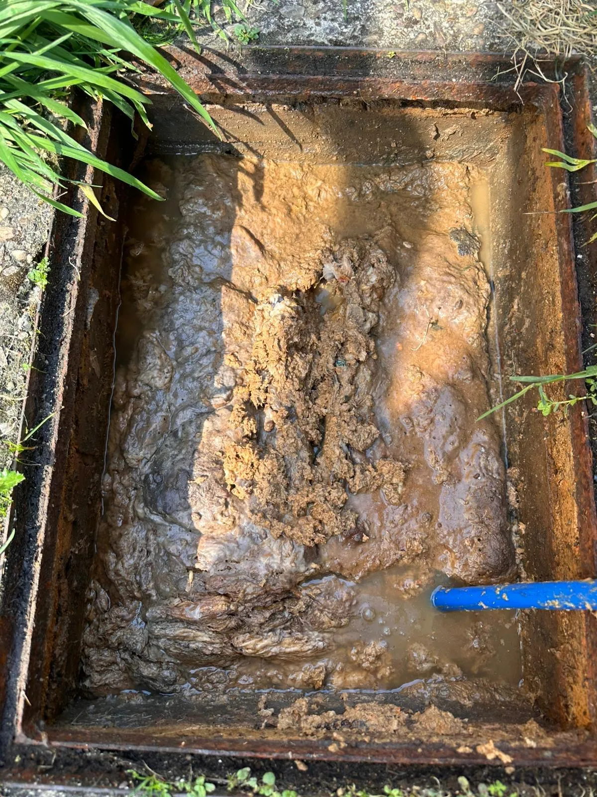 A picture of a severely blocked outdoor drain with a jetting hose clearing the blockage.