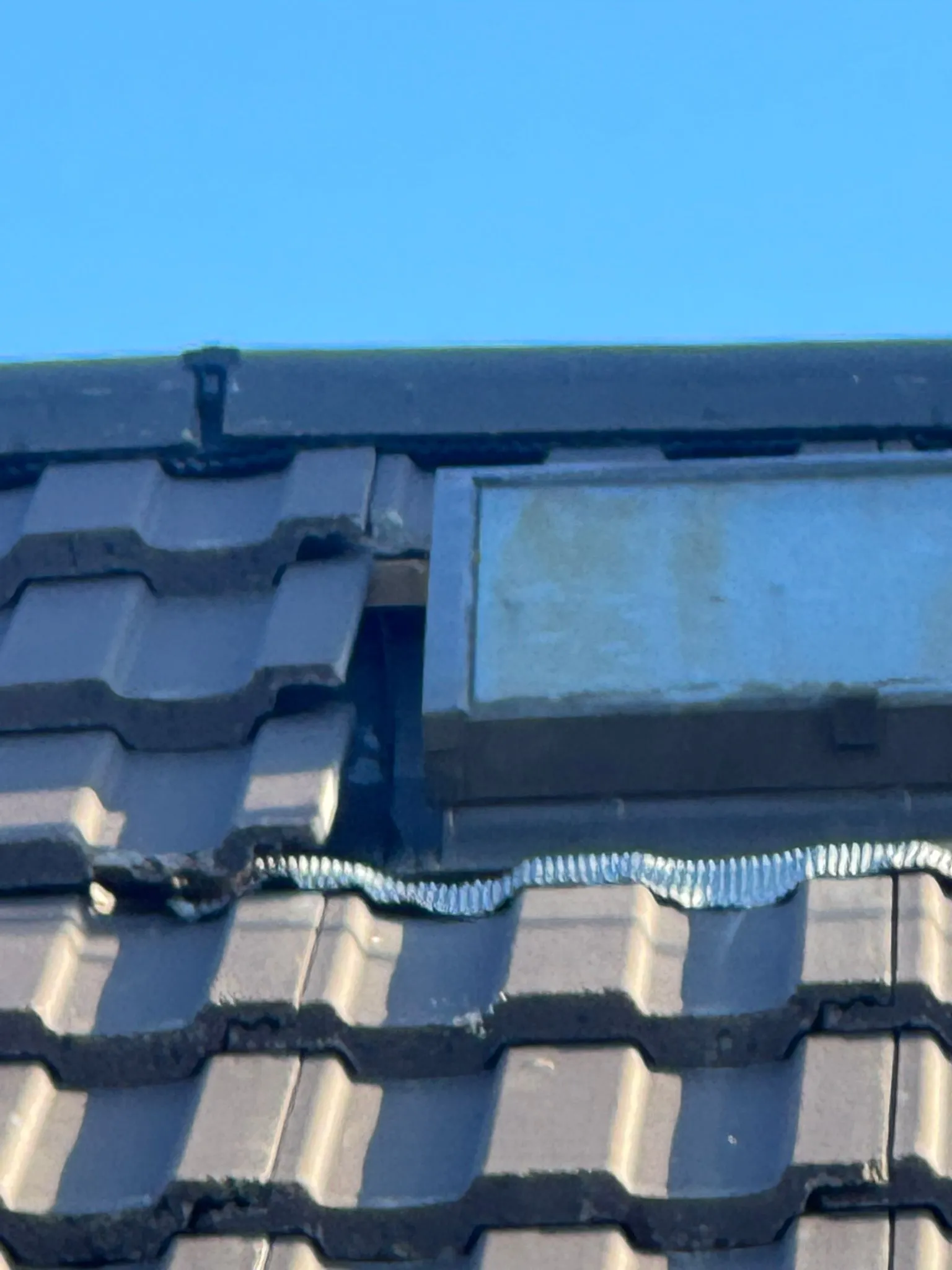 WhatsApp Image 2025-10-14 at 19.06.51.jpeg.webp