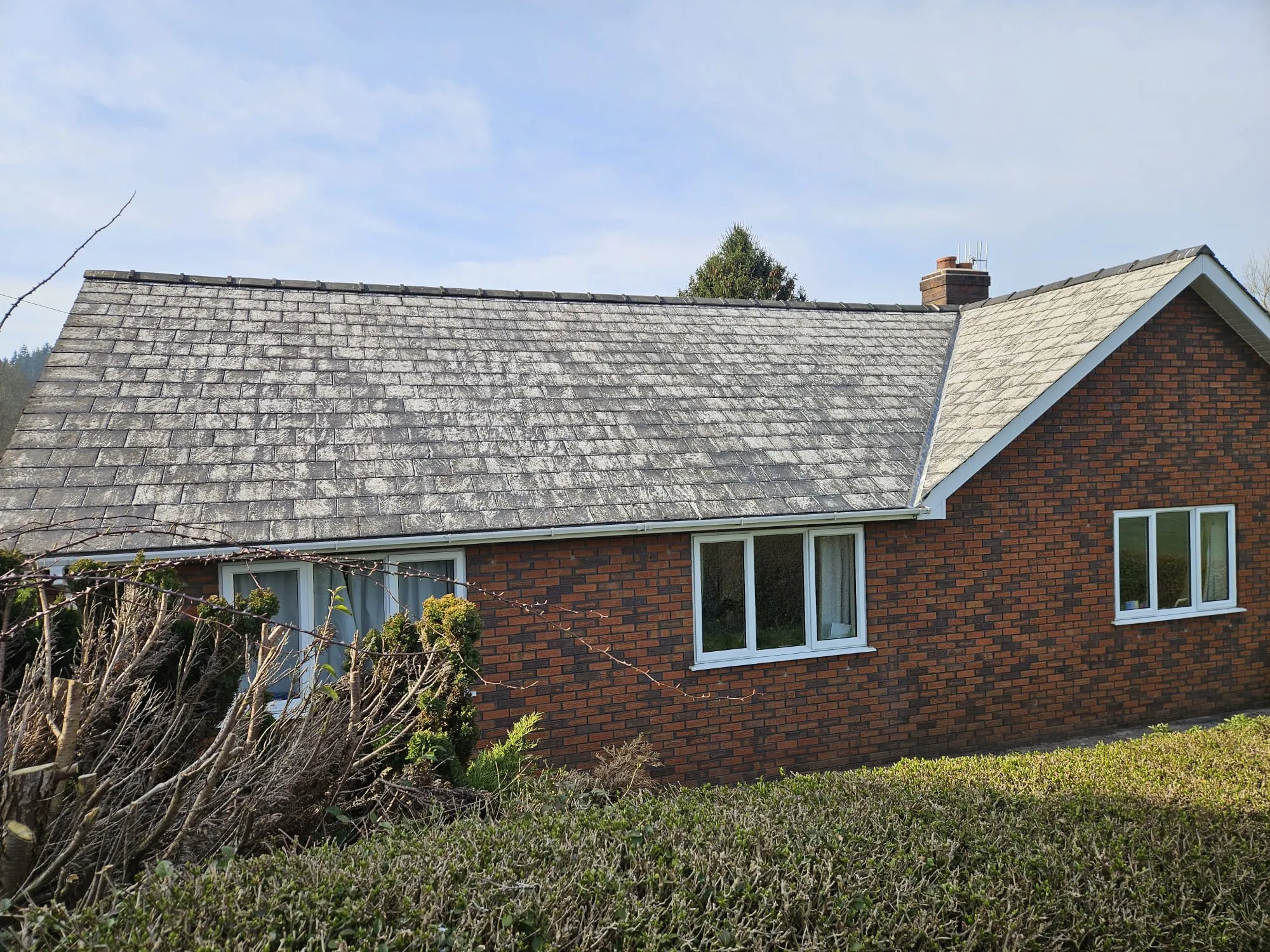 A house with a grey slate roof covered in moss and algae, suggesting a need for roof cleaning and maintenance, with brick walls and overgrown hedges.