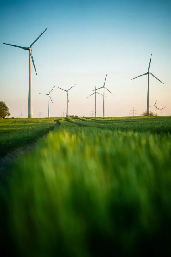A picture of wind turbines in a field