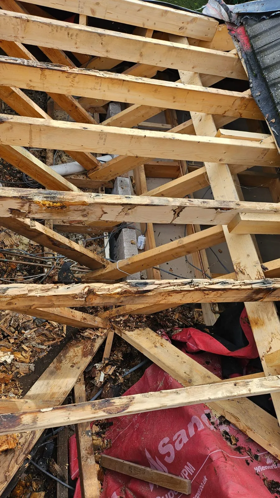 Exposed wooden roof battens and red underlay visible during a roof replacement or new roof construction.