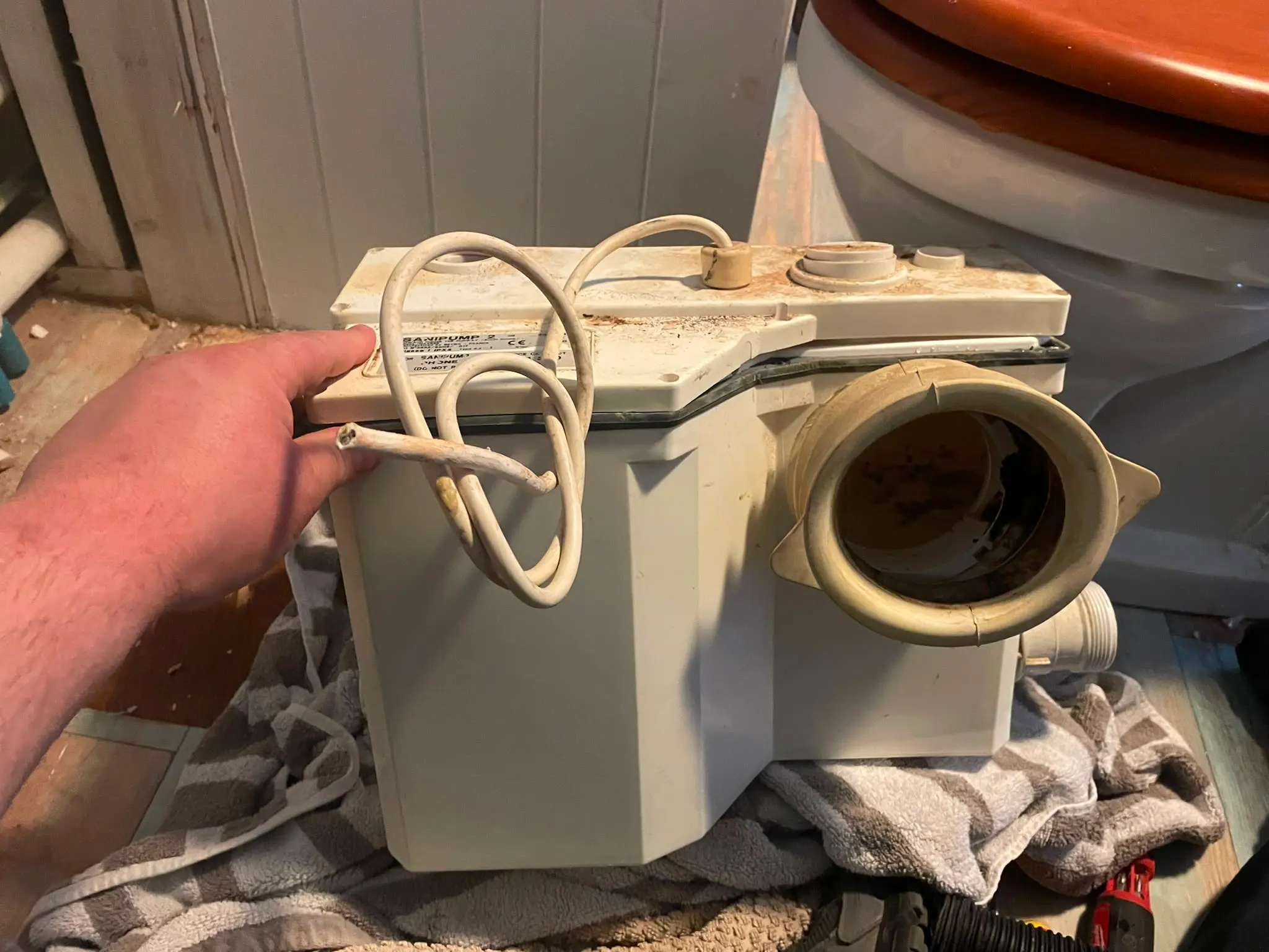 A plumber inspecting a Saniflo macerator pump during a repair service