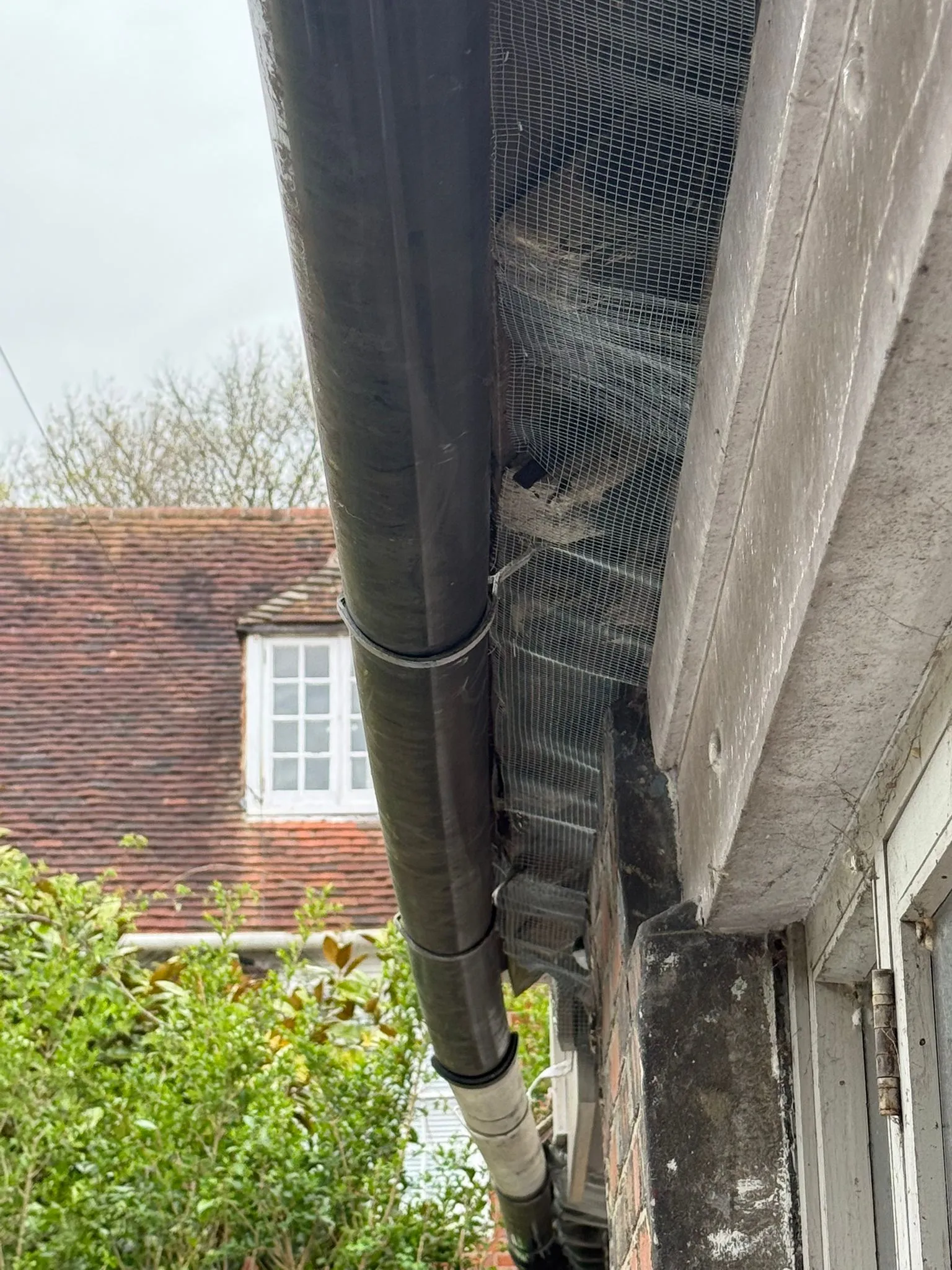 Close-up of bird proofing mesh installed under the roofline and gutter of a house.