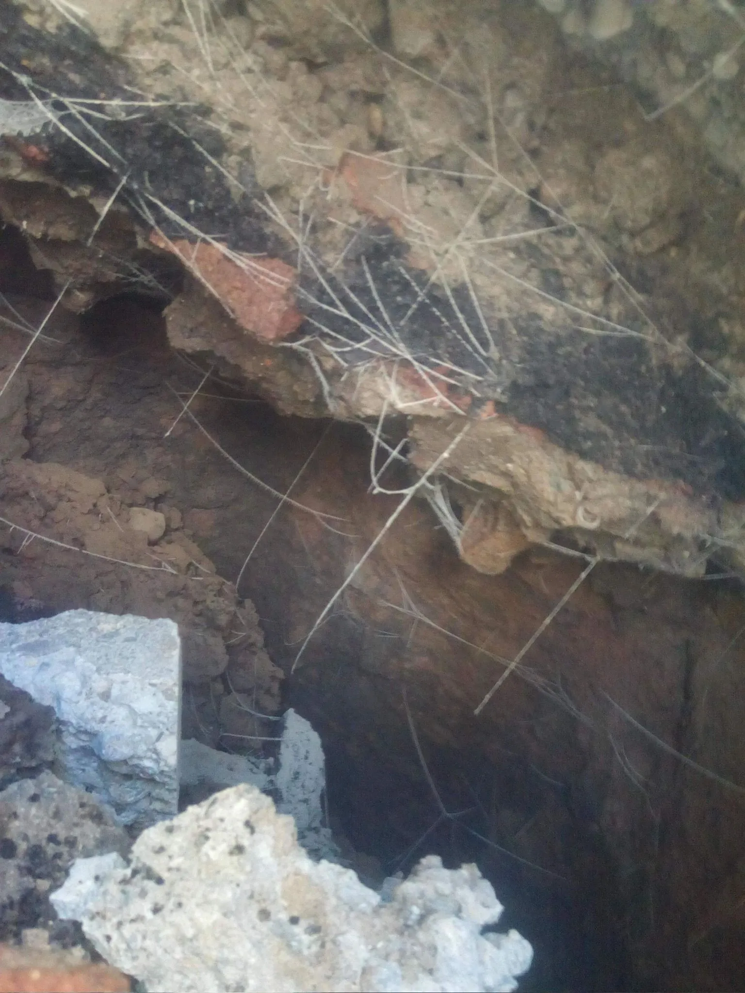 Excavated ground for collapsed drain repair