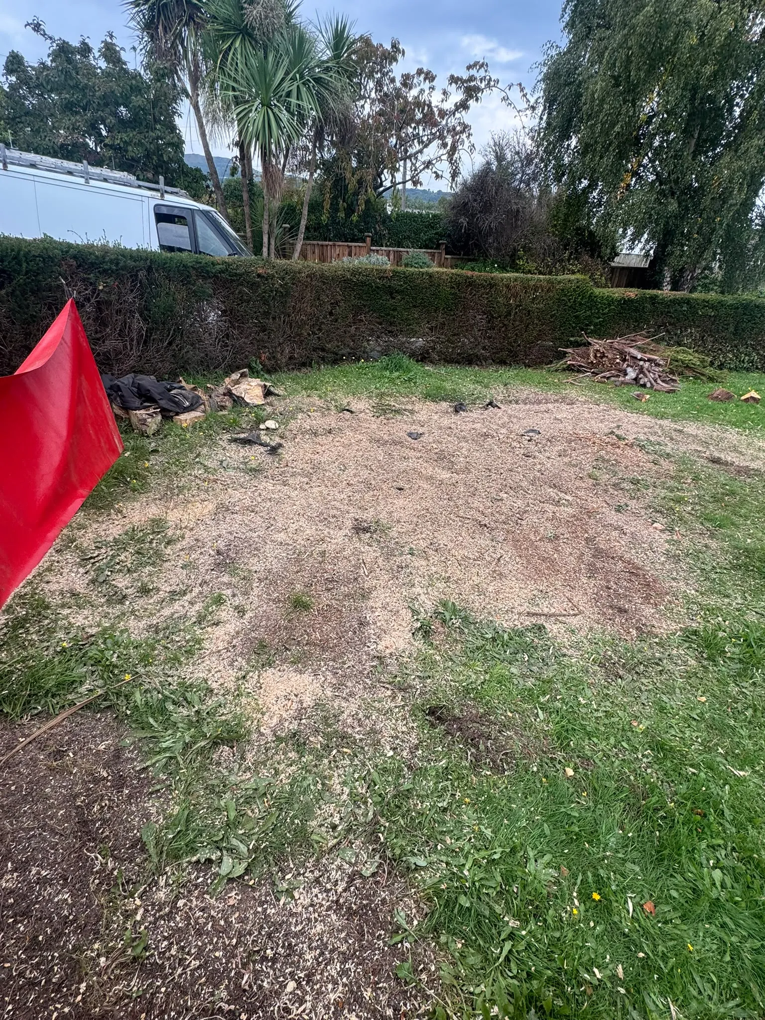 Completed tree stump grinding with wood chippings spread over the cleared area in a residential garden