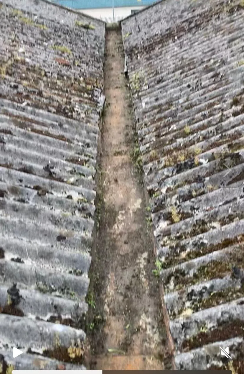 WhatsApp Image 2025-11-03 at 14.33.59 (1).jpeg.webp