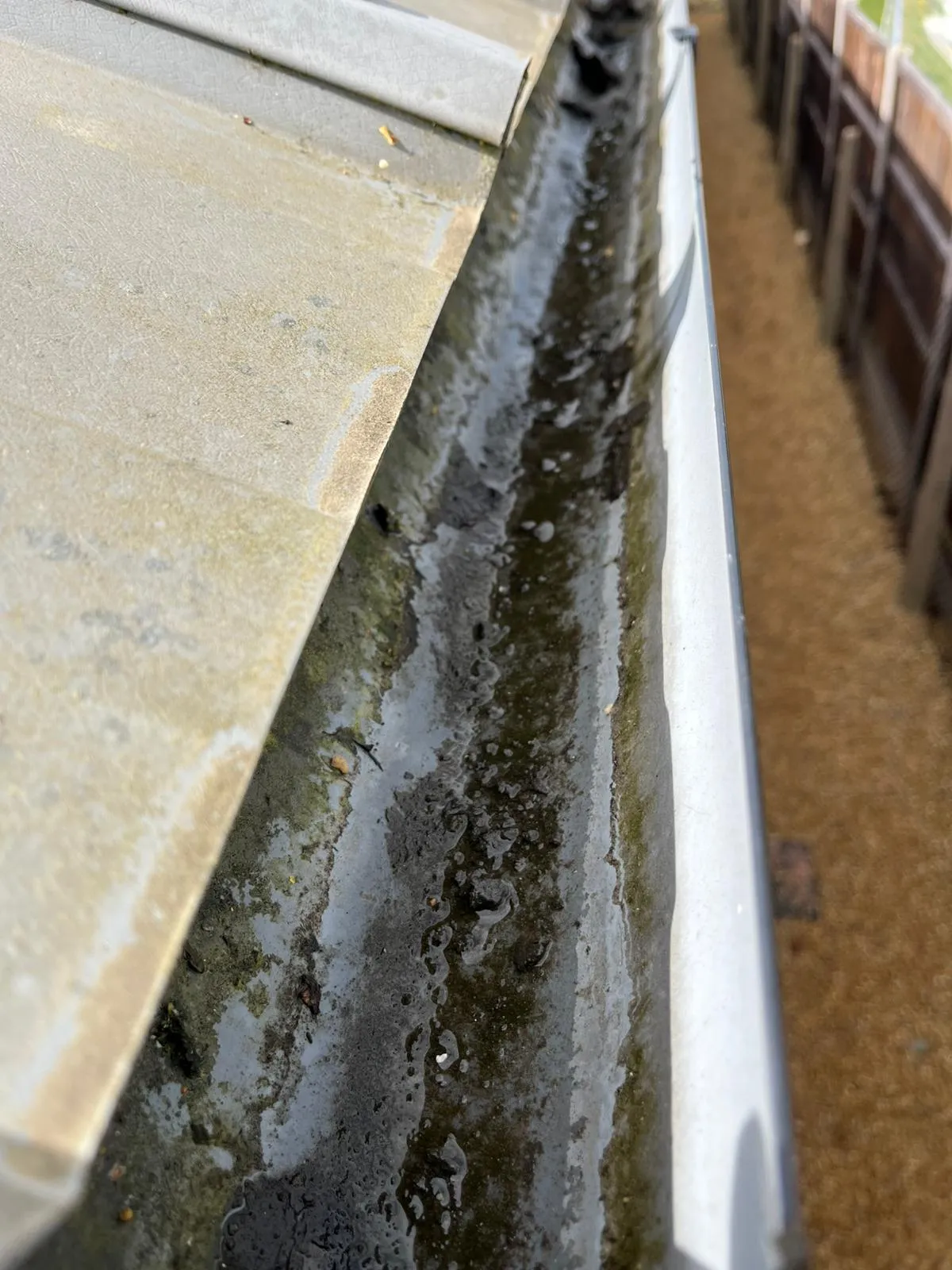 Blocked gutter filled with sludge and moss on a residential property in Suffolk