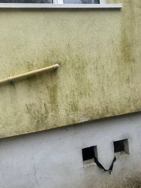 Close-up of a dirty exterior wall with green algae on textured render and a cracking grey lower wall with vents.