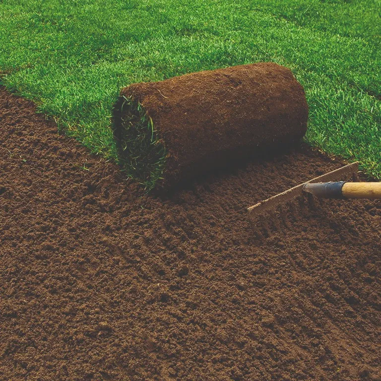 A roll of new turf on rich soil next to a freshly laid green lawn, with a rake nearby, illustrating new lawn installation.