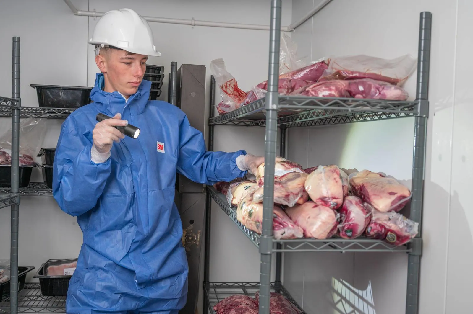 A Pest Control Harrogate expert performing a professional pest inspection in a commercial food storage facility.
