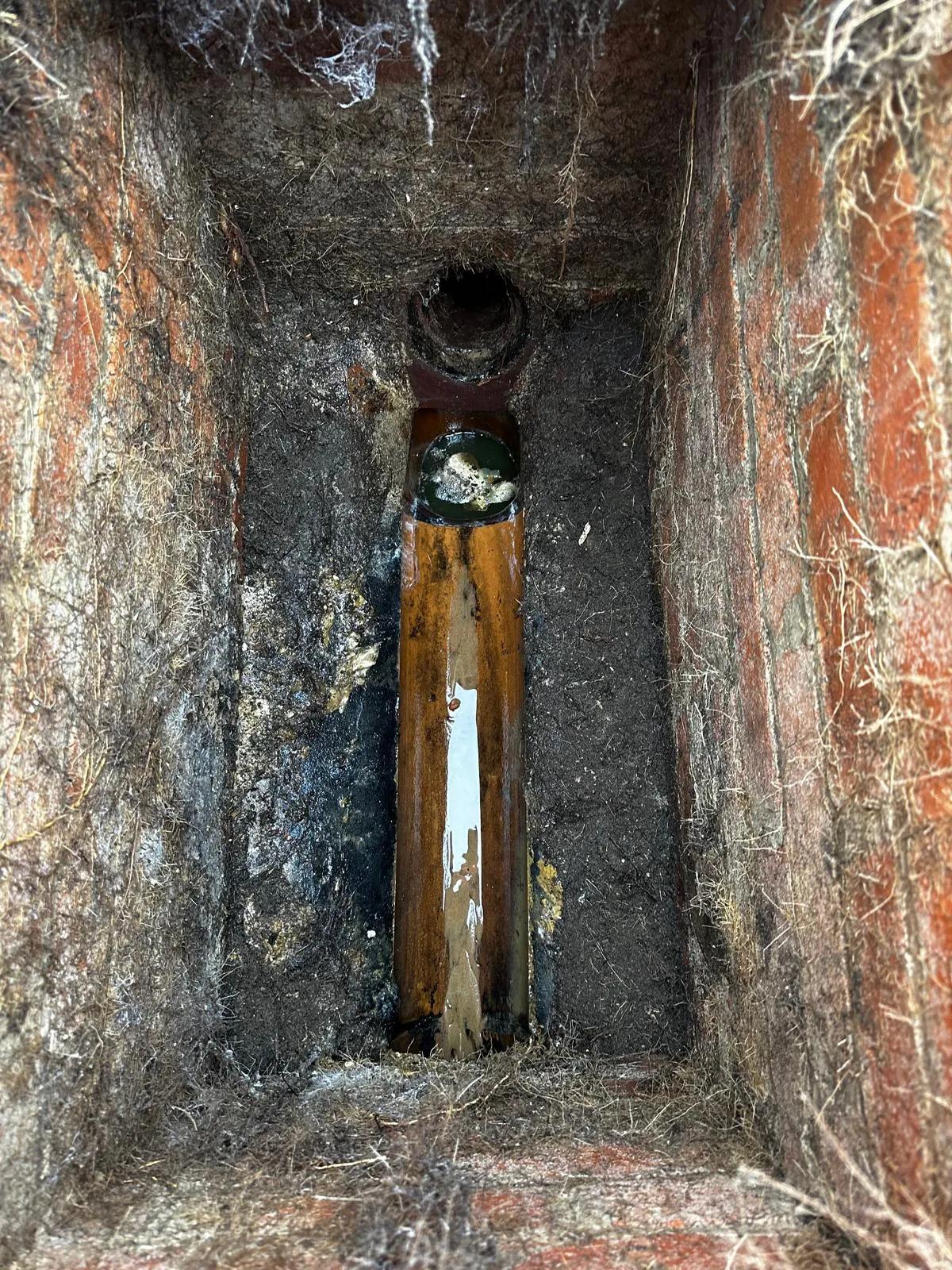 A close-up view inside a dirty, brick-lined drain inspection chamber, revealing a pipe almost completely blocked by standing water and heavy tree root growth on the surrounding walls.