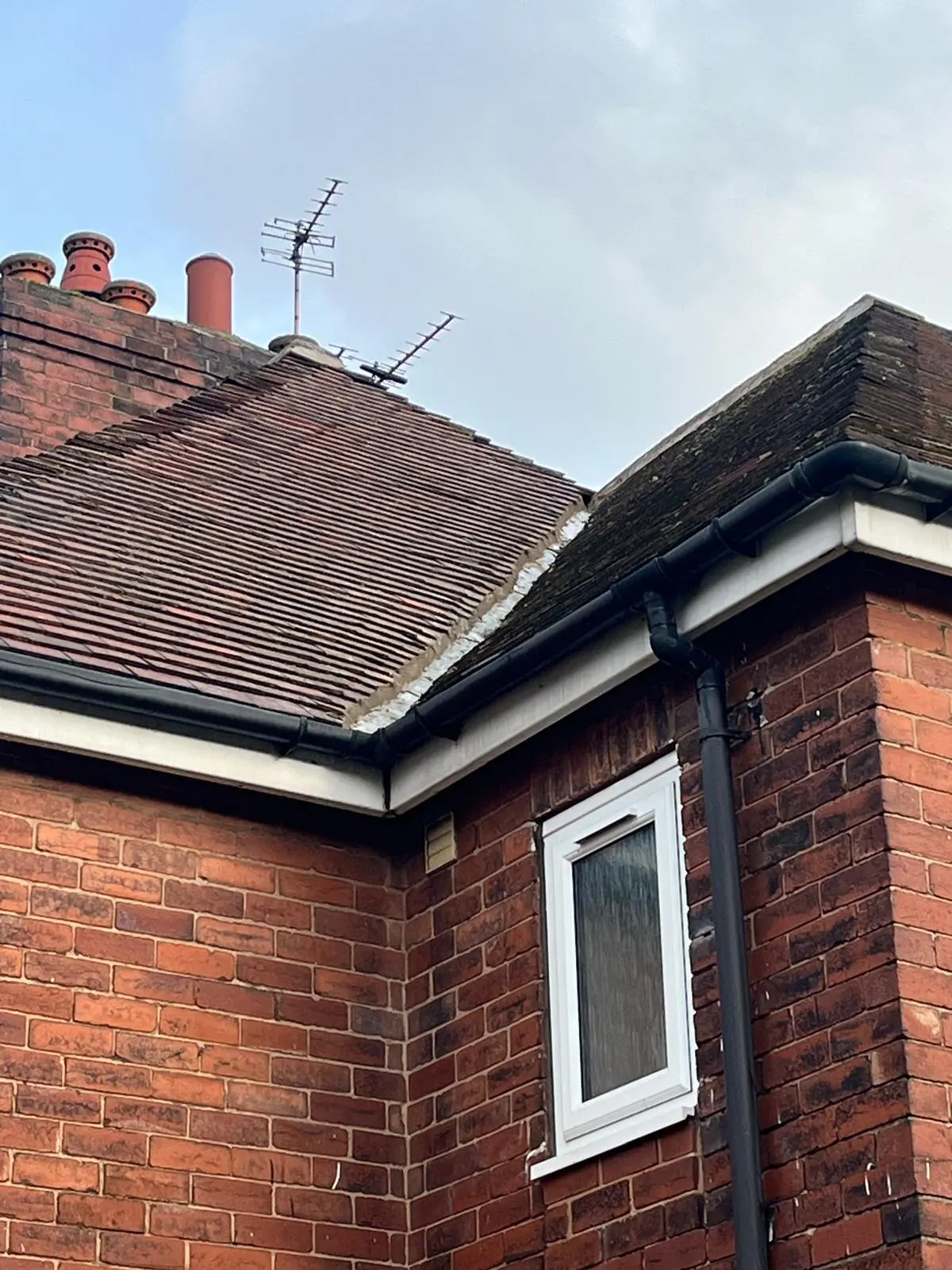Pitched clay tile roof with black uPVC gutters and white fascias on a red brick house