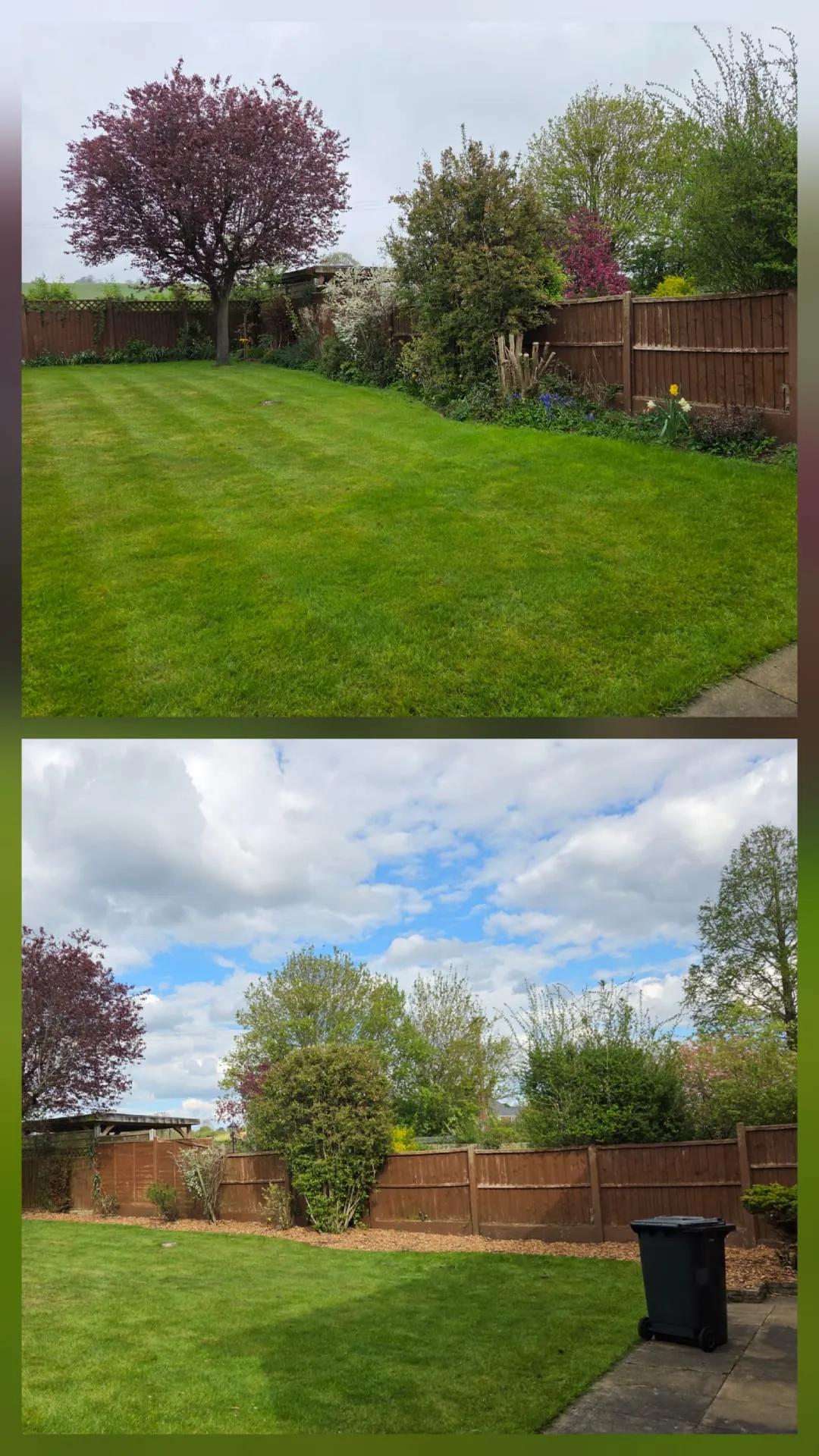 A before and after comparison of a garden, showing an overgrown space transformed into a neat garden with a striped lawn, mulched borders, and healthy plants.