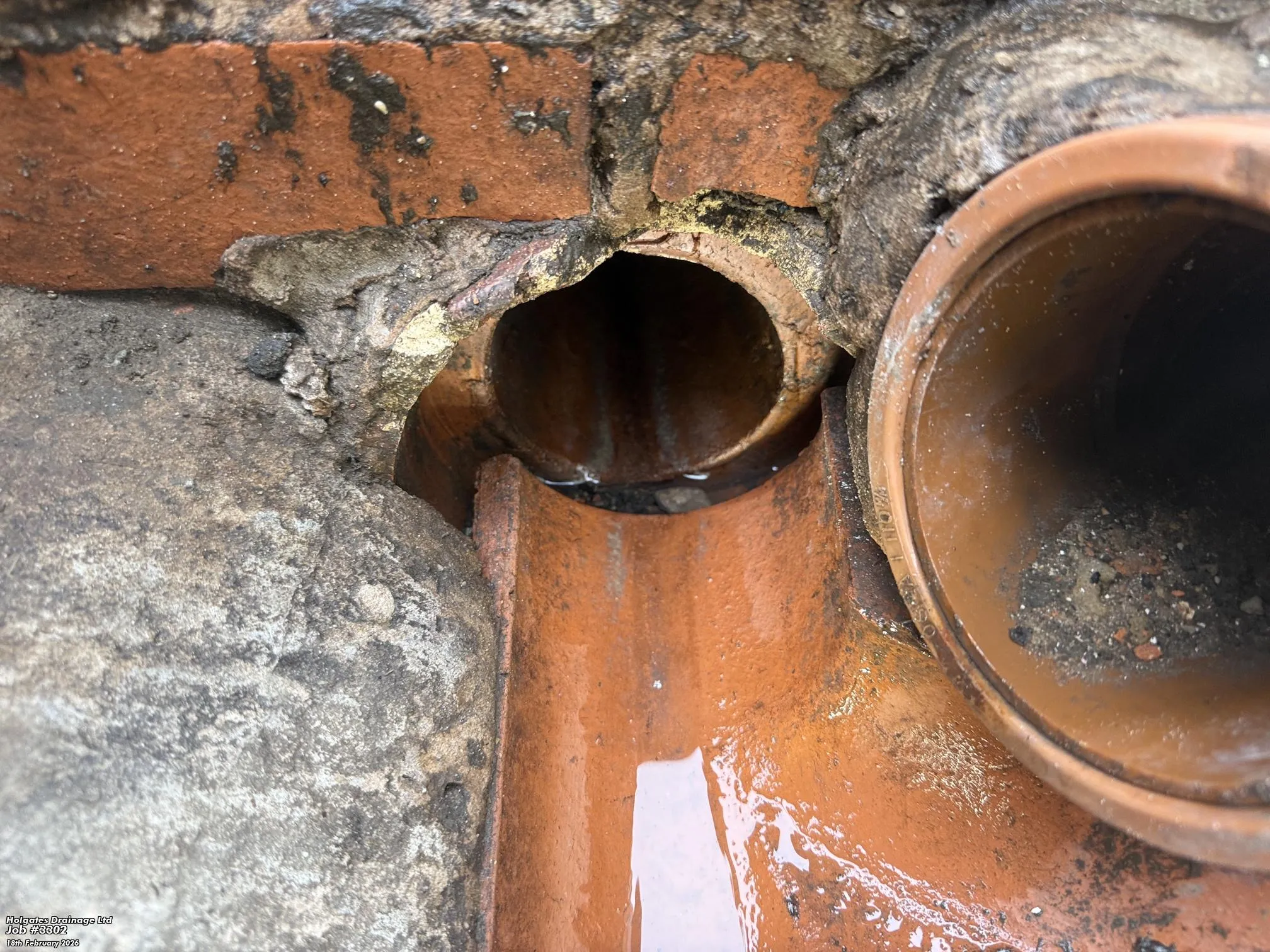 Drain Inspections by Pest Medic