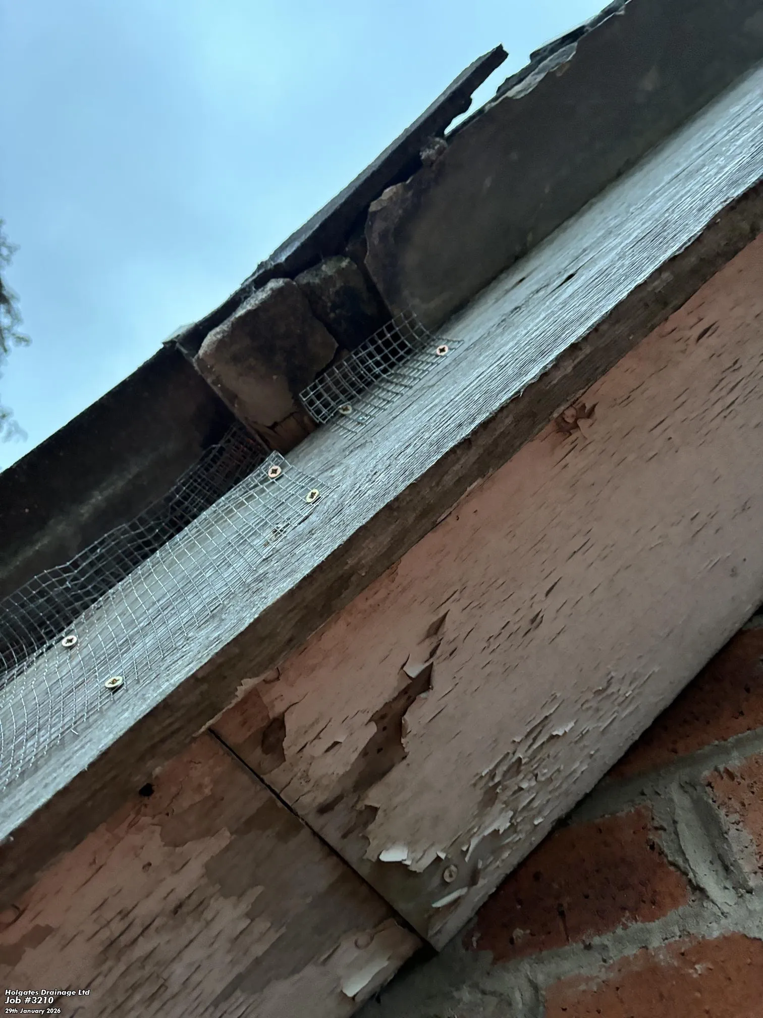 Rodent Proofing by Pest Medic
