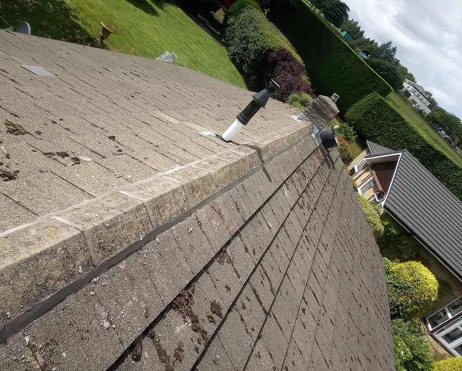 Roof Moss Removal by Pendle Property Maintenance and Roofing Services 