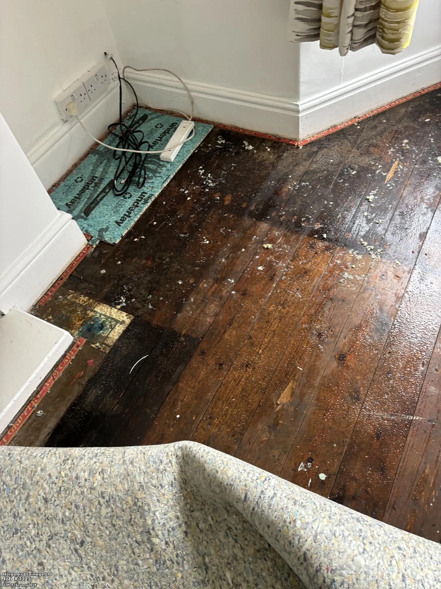 Flea Treatment by Pest Medic